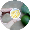 Pumpkin Seed